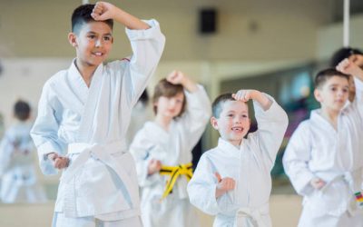 Top 8 health benefits of Martial Arts training.