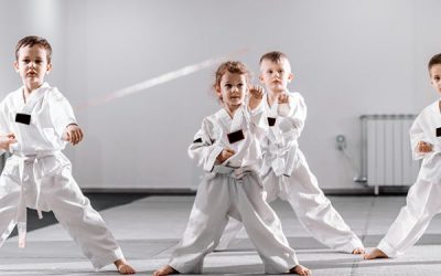 Importance of Karate in life